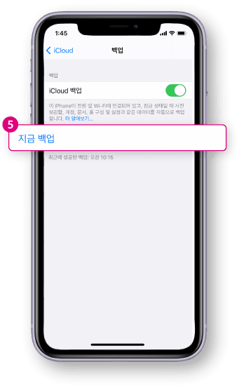 지금 백업